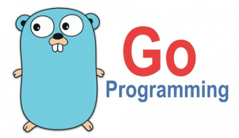 Как стать Go-разработчиком – что нужно знать