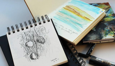 Как стать Скетчером – что нужно знать