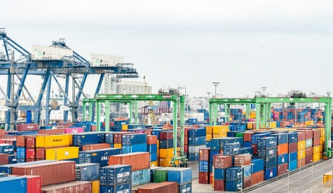 Как стать Таможенным декларантом с нуля – что нужно знать