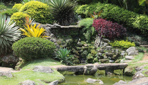 Профессия Ландшафтный дизайнер – что делает, как им стать, зарплата в России | Rosbo.ru